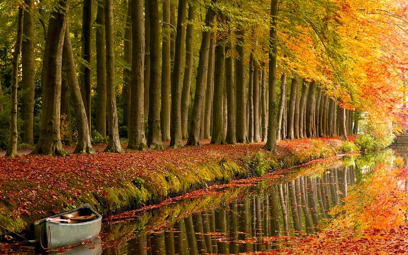 Canoe on Canal Bank