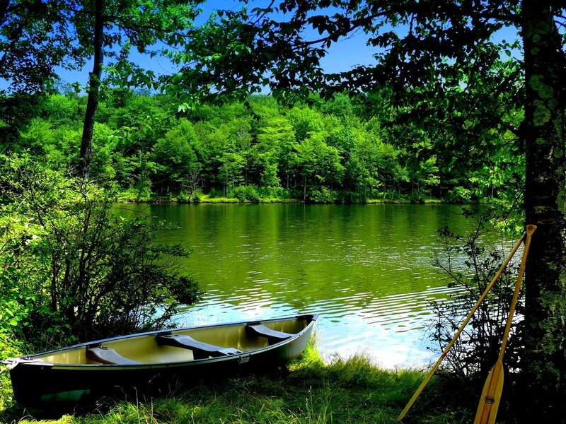 Canoe on Lake Shore — Green, Serene