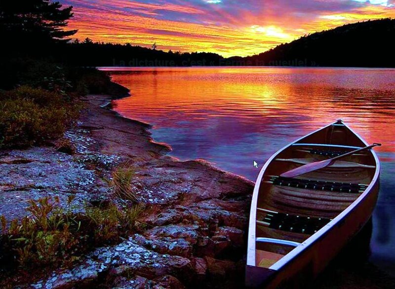 Canoe on Lake Shore — Orange, Serene
