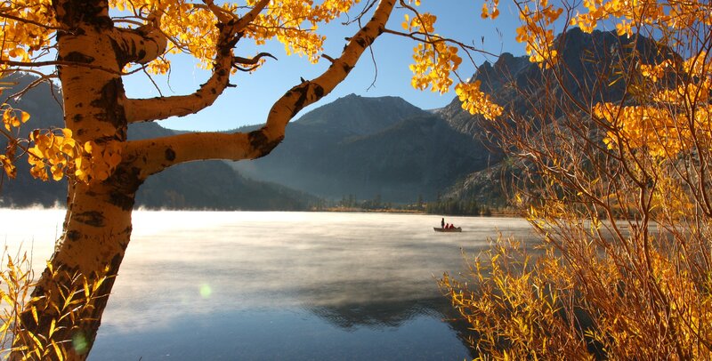 Canoe on Lake — Yellow, Serene