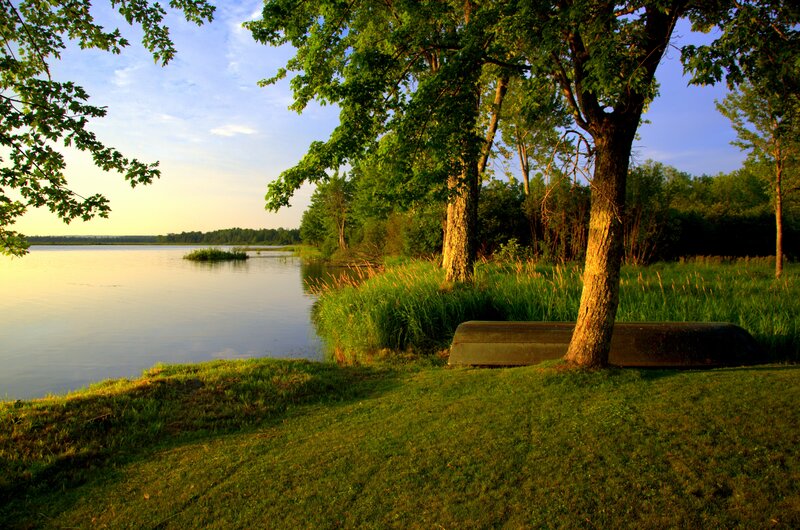 Canoe on Lakeshore — Green