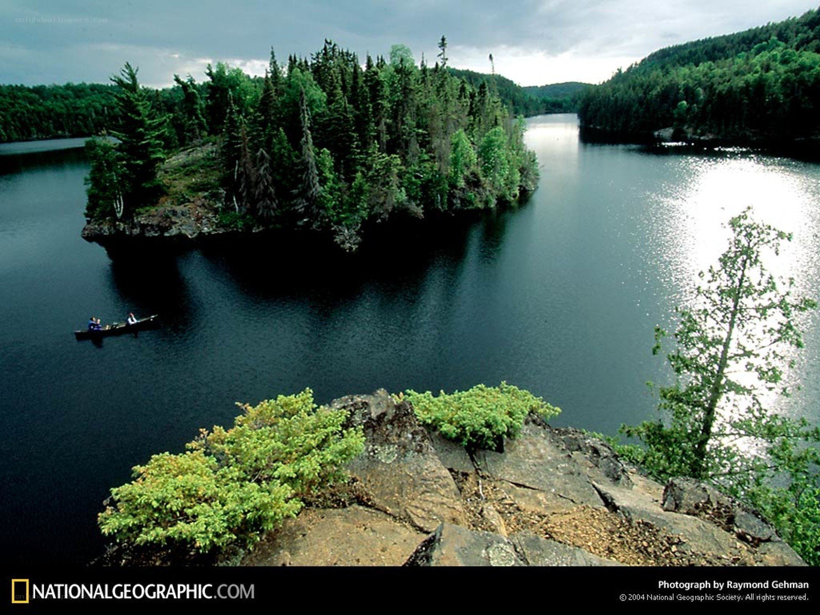 Canoeing on a forested lake