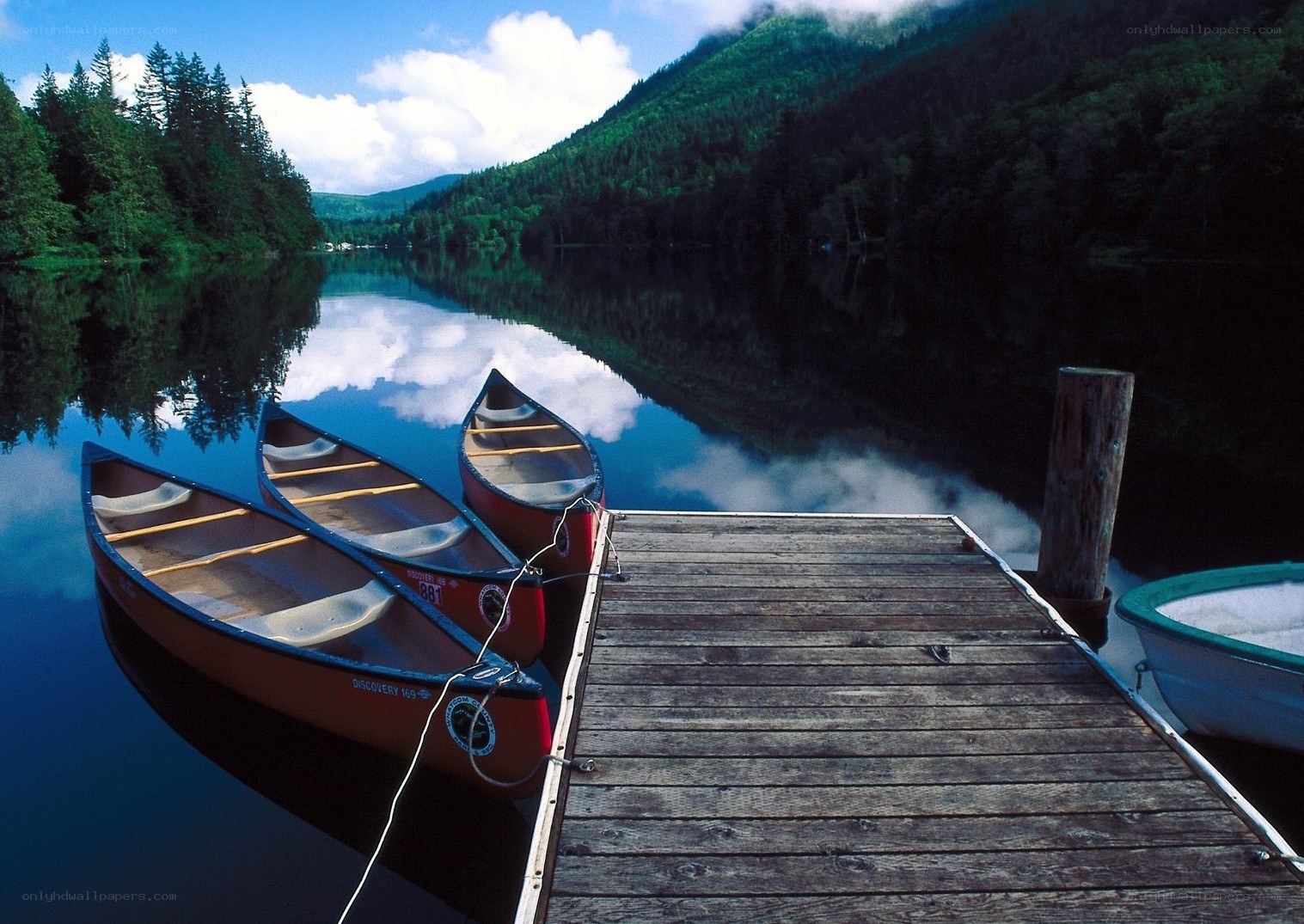 Canoes at a forest lake dock