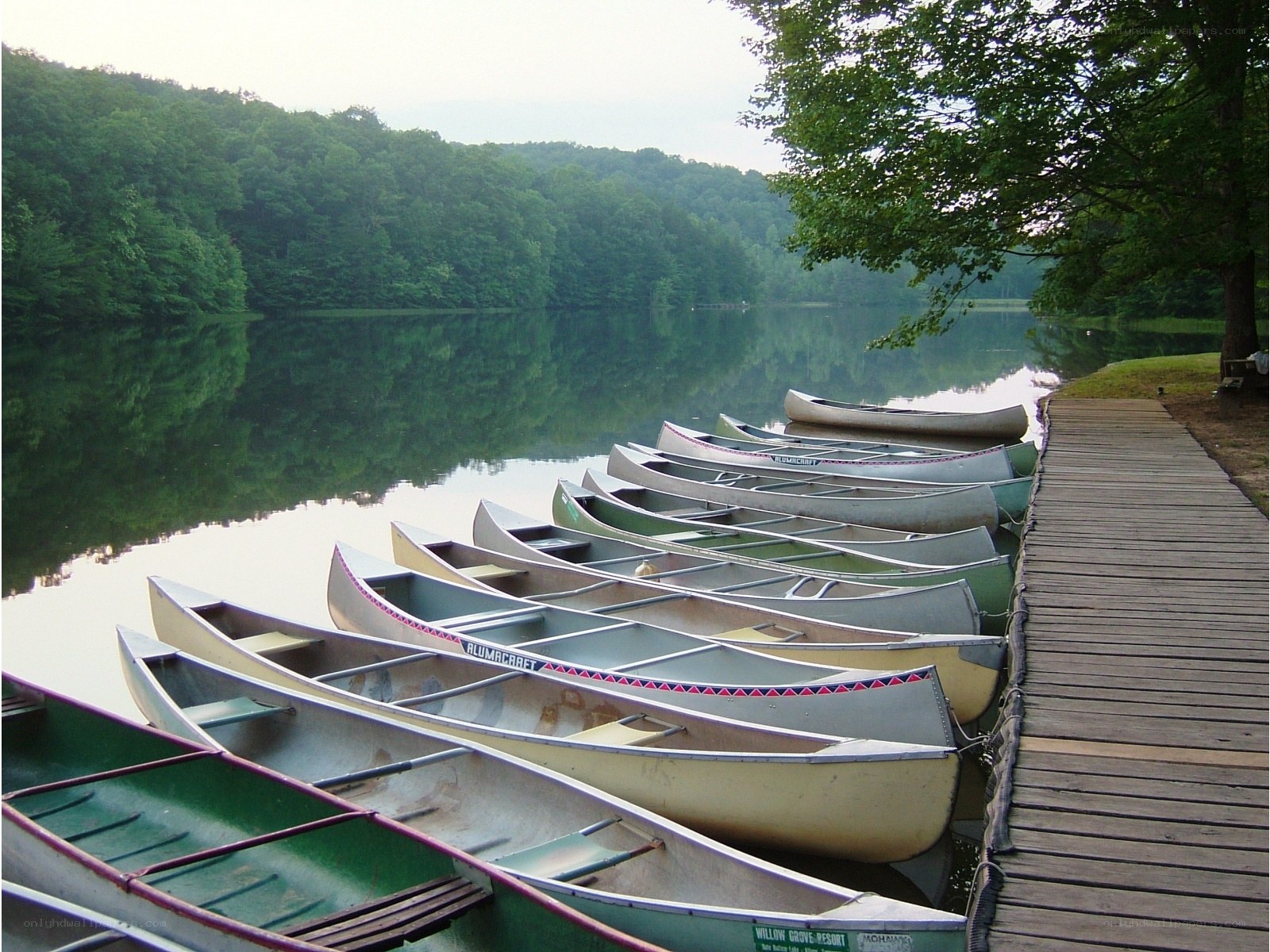 Canoes docked at a lake