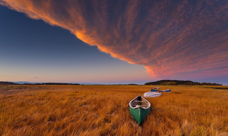 Canoes in Marshland