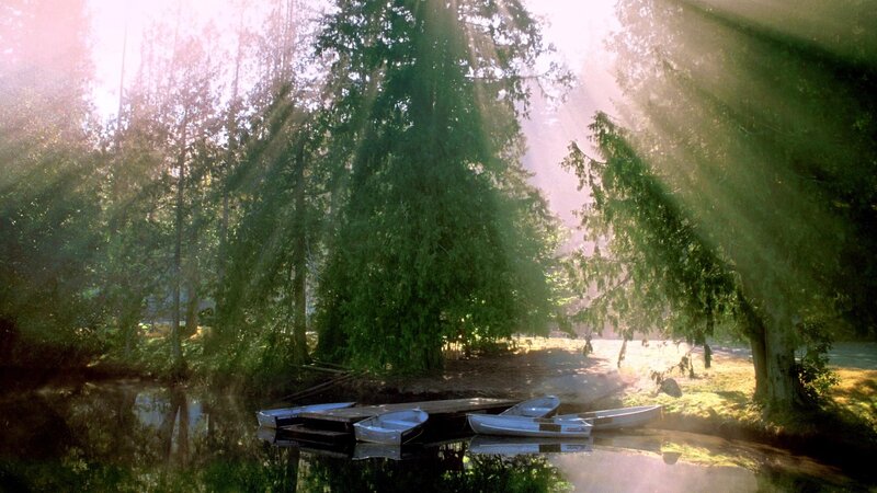 Canoes on a Lake — Green, Serene, Morning, Photograph