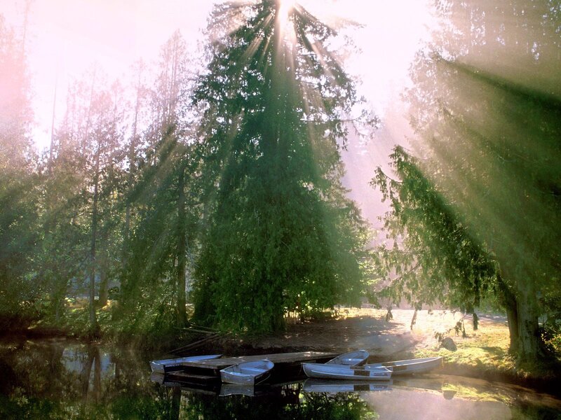 Canoes on a Lake — Green, Serene, Morning, Photograph, Trees