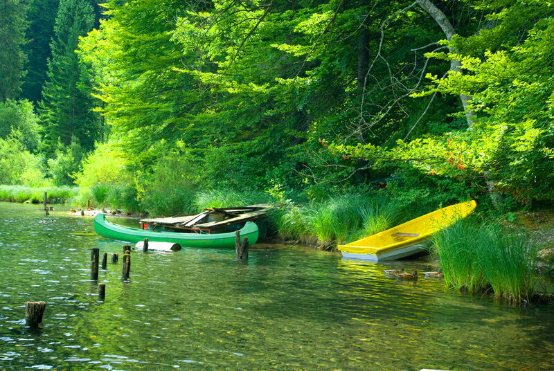 Canoes on a Lake — Green