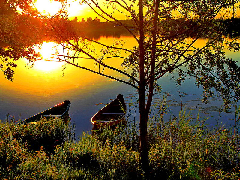 Canoes on a Lake