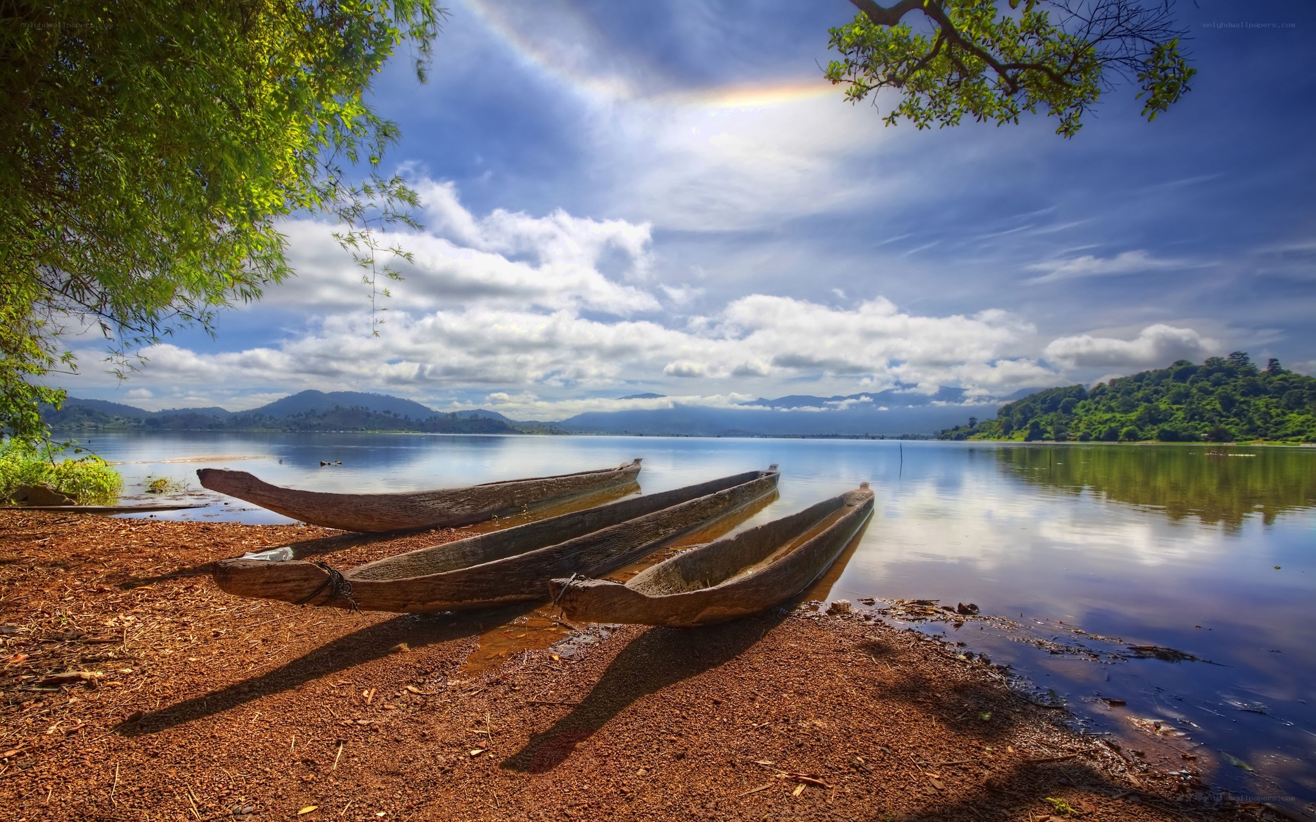 Canoes on a lakeshore