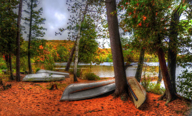 Canoes on Lakeshore