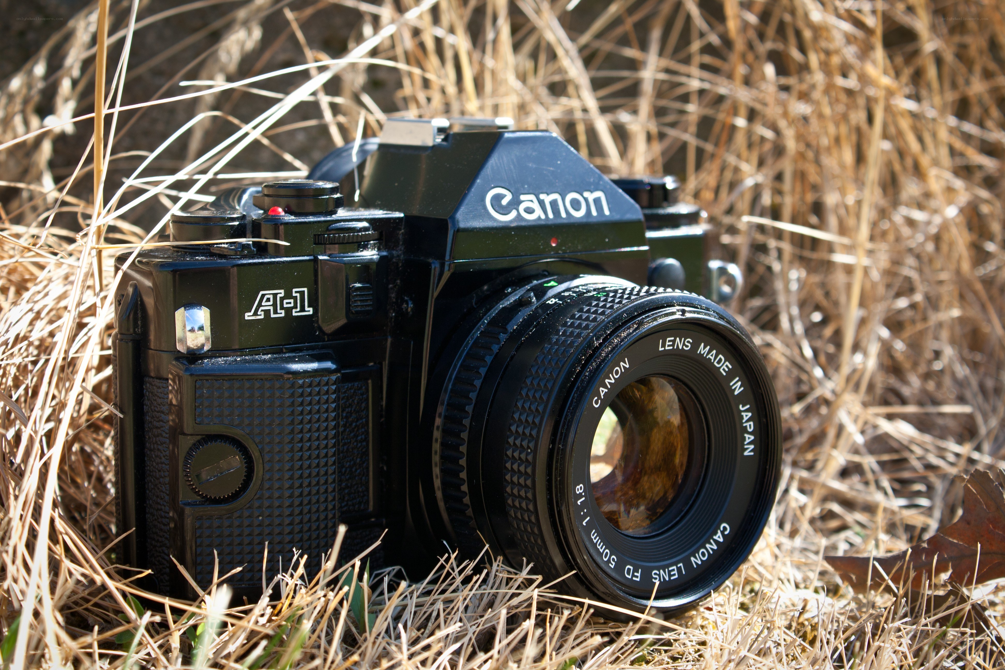Canon A-1 camera in grass