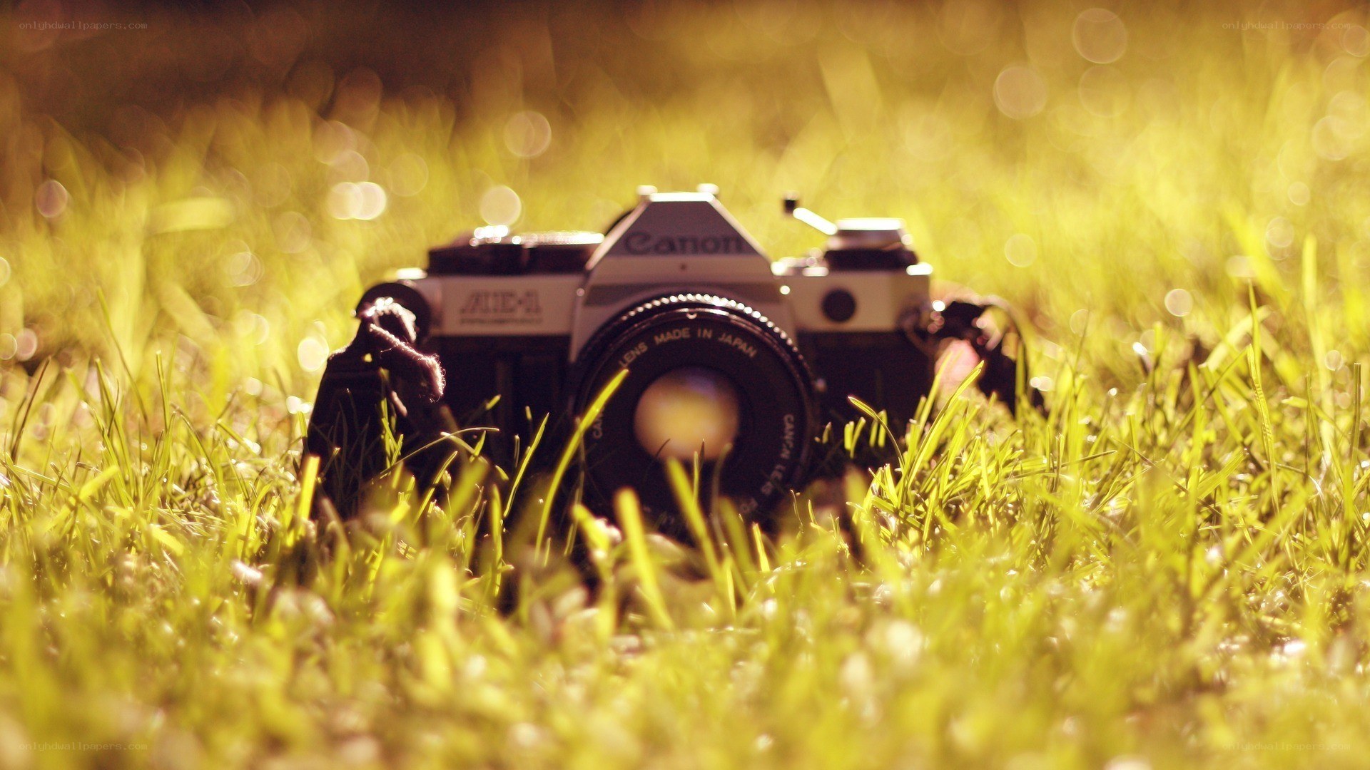 Canon camera in grass