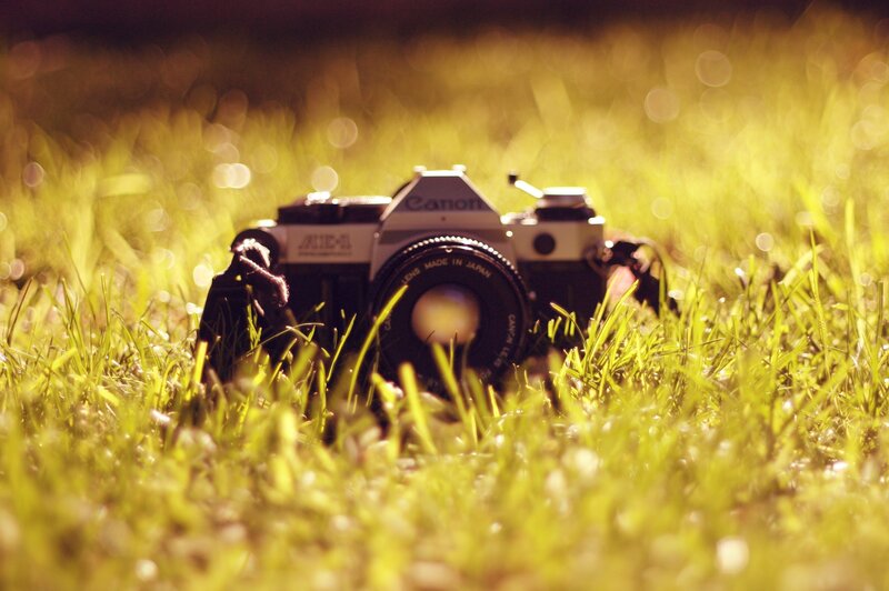 Canon camera in grass