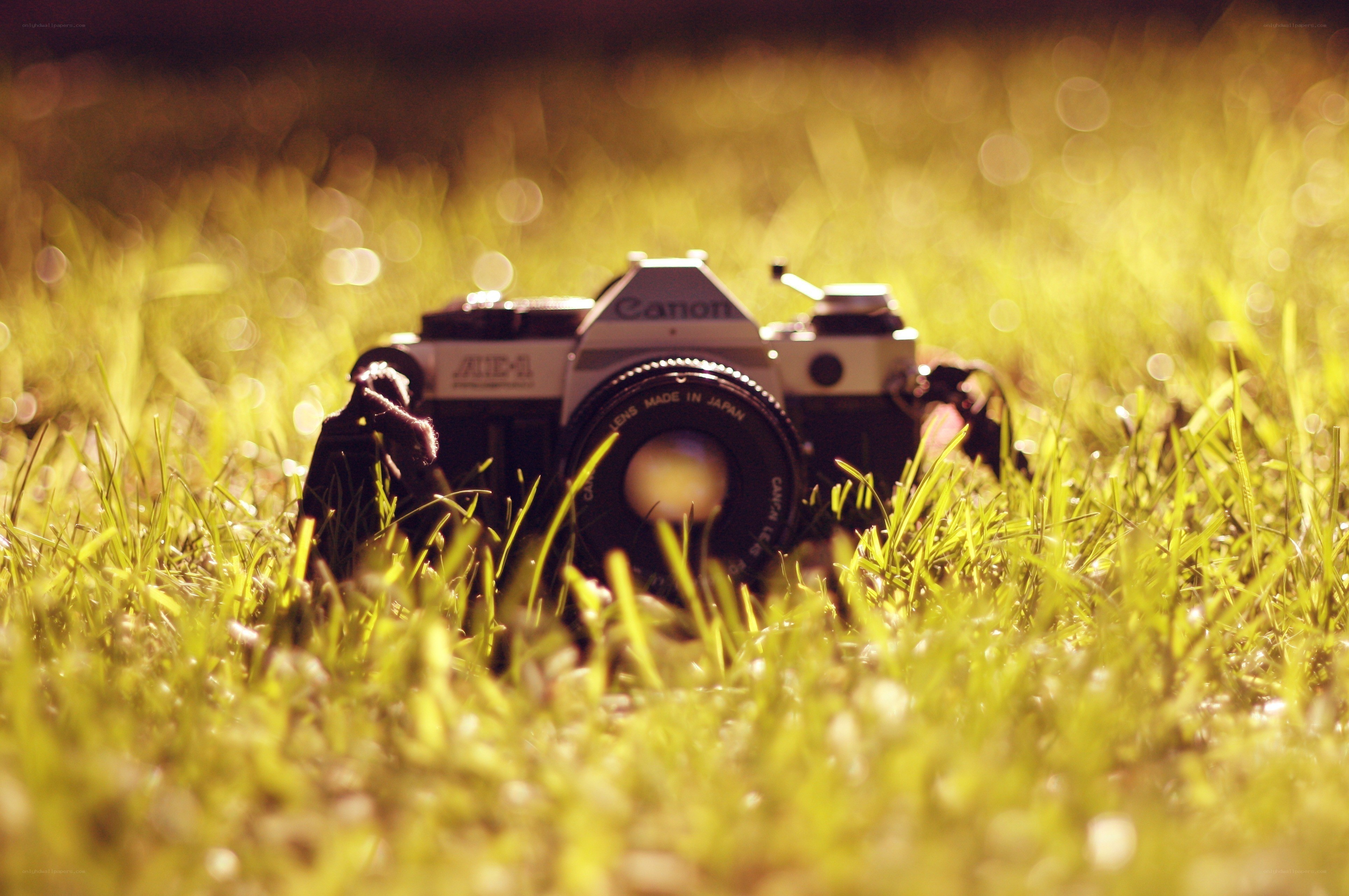 Canon camera in grass