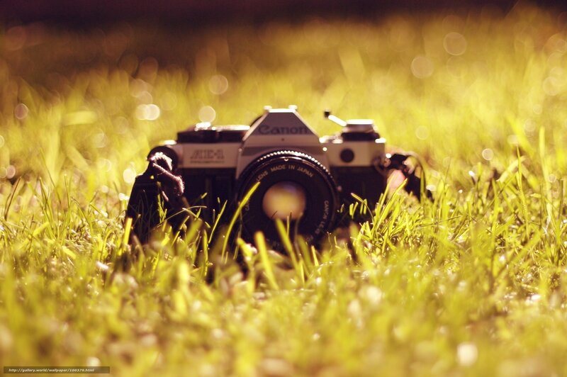 Canon camera in grass