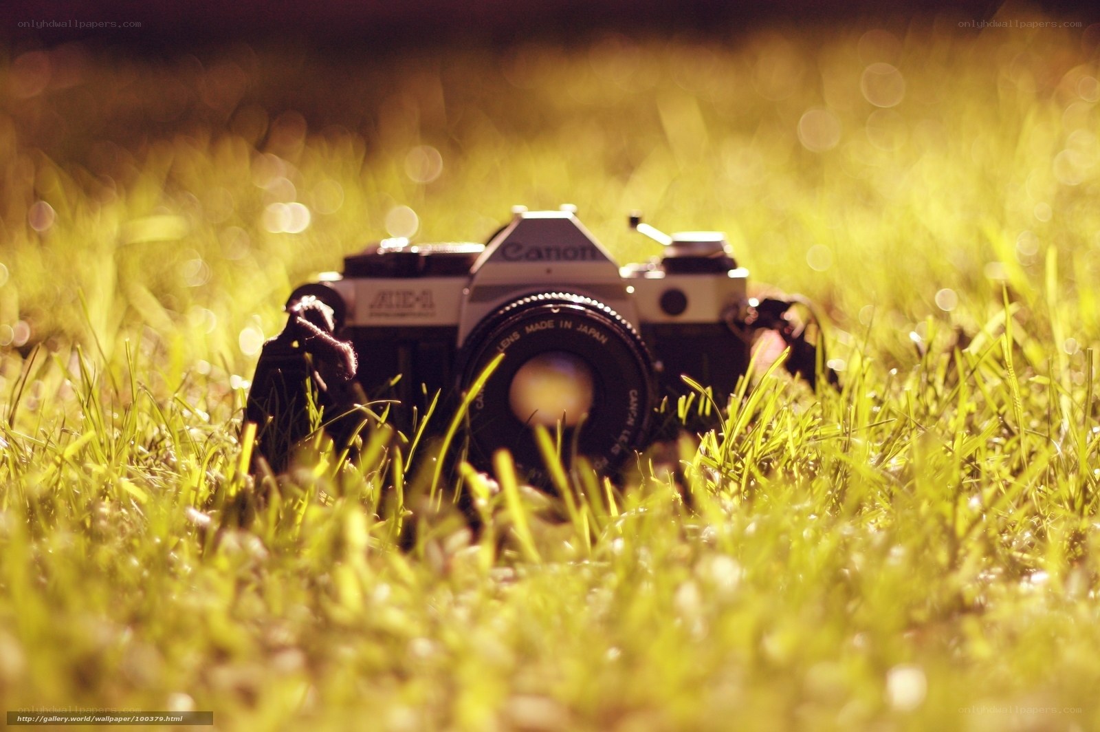 Canon camera in grass