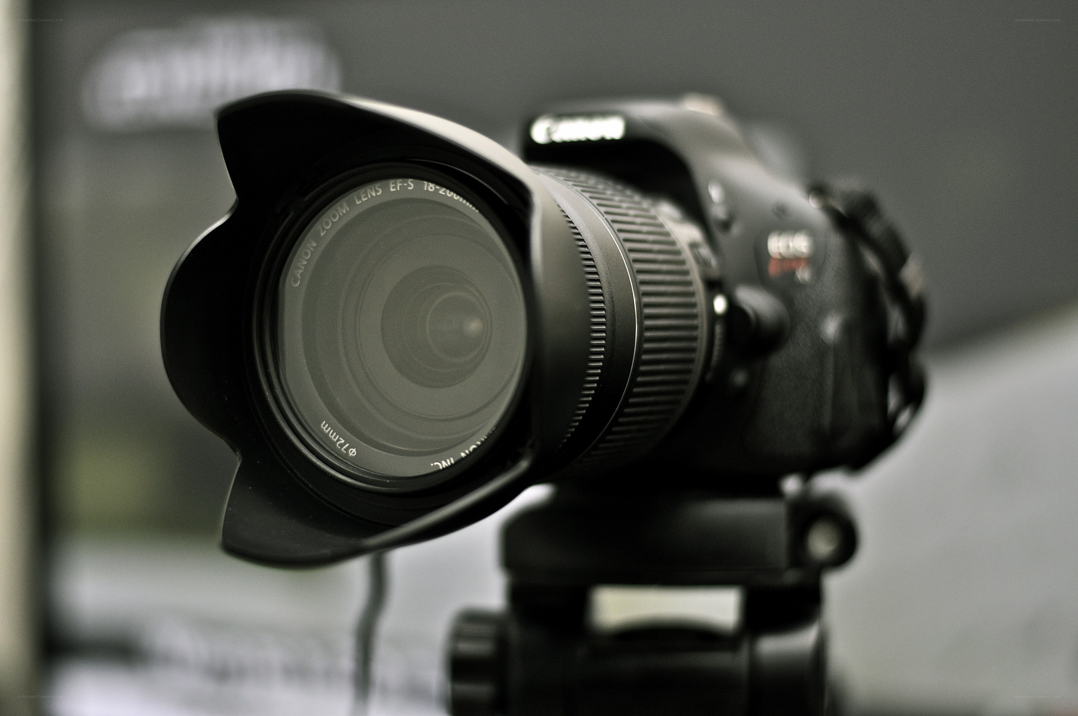 Canon camera on tripod