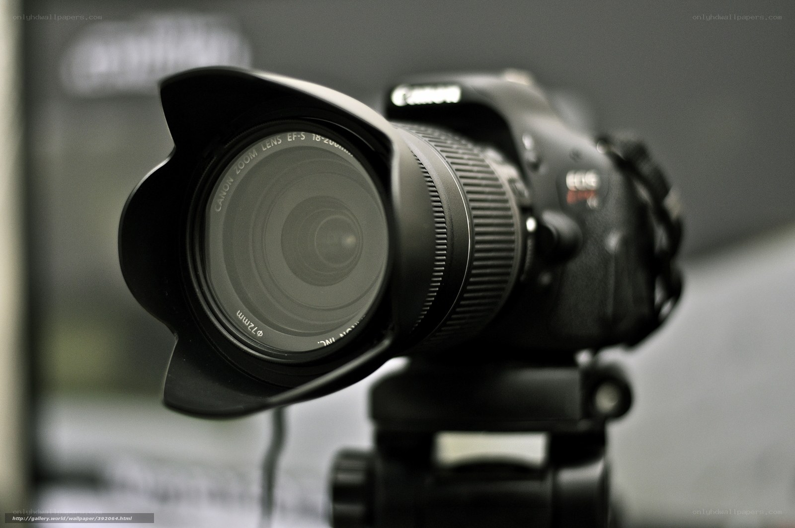 Canon camera on tripod