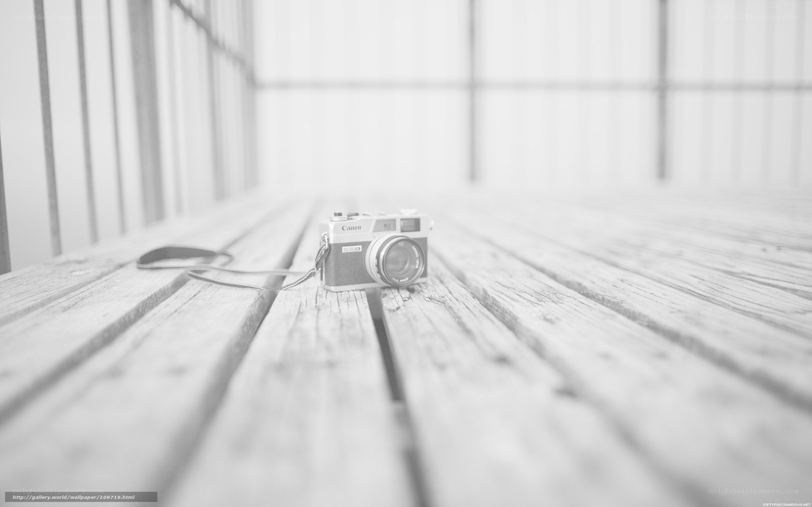 Canon camera on wooden deck