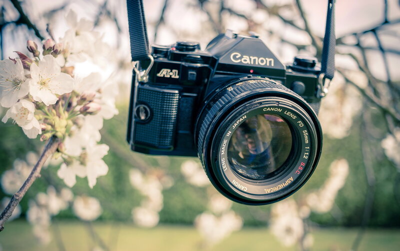 Canon camera with cherry blossoms