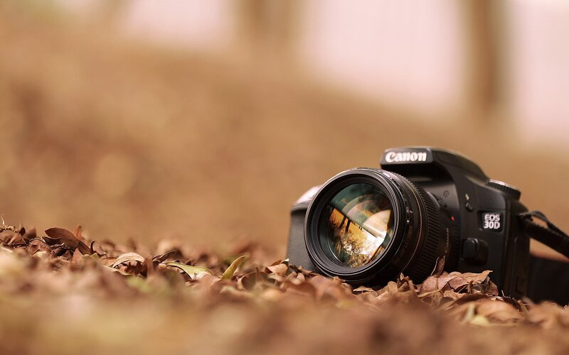 Canon DSLR Camera — Brown, Serene