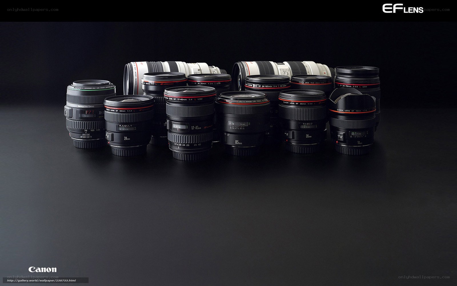 Canon EF lens collection