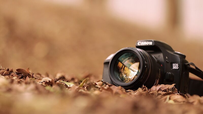 Canon EOS 30D Camera — Brown, Calm