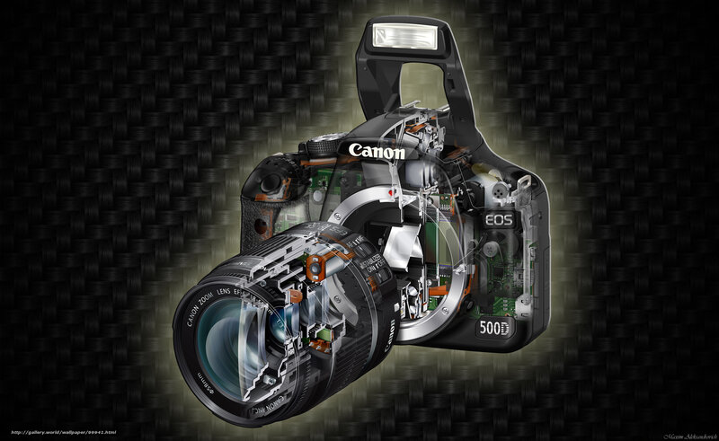 Canon EOS 500D cutaway view
