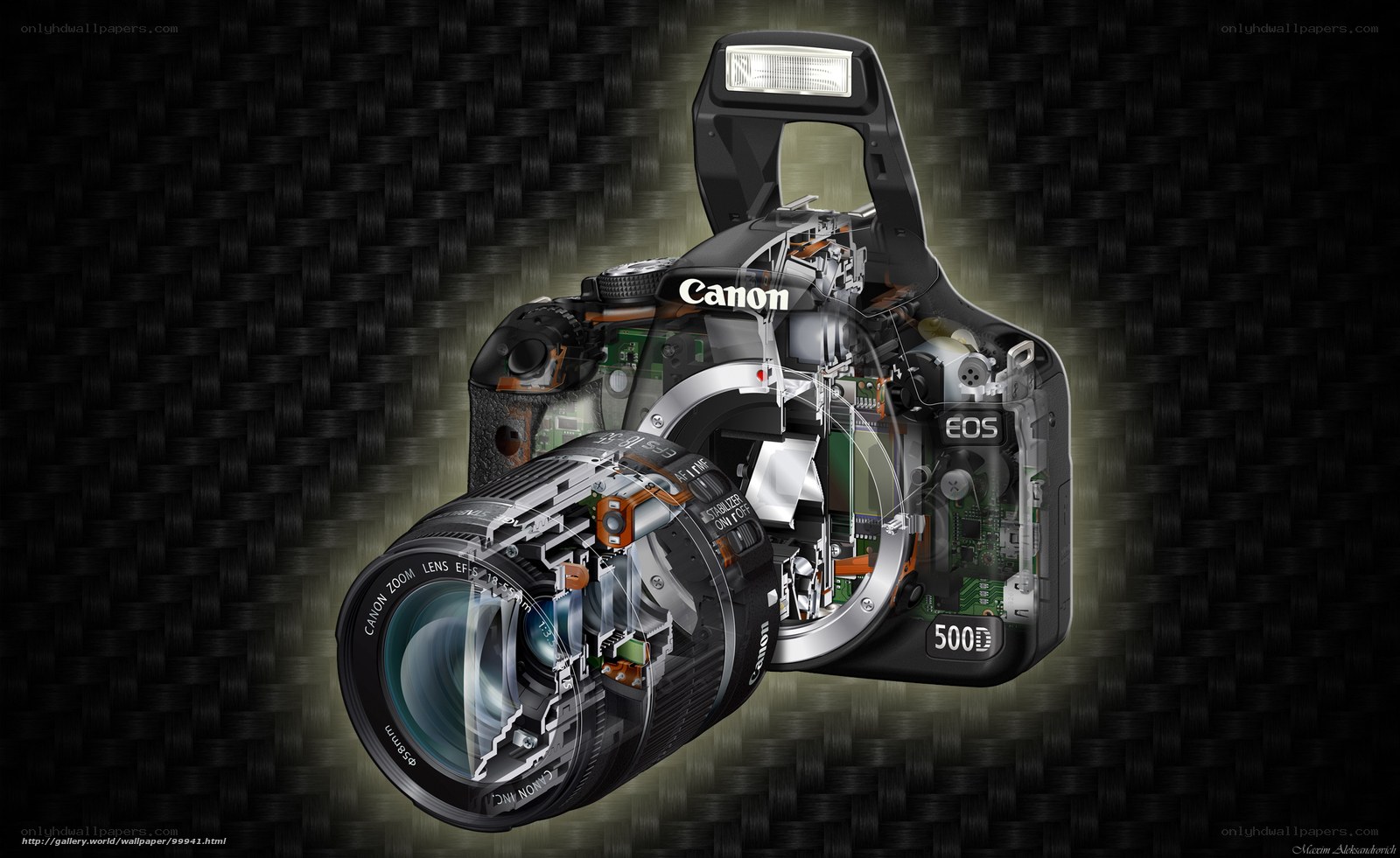 Canon EOS 500D cutaway view