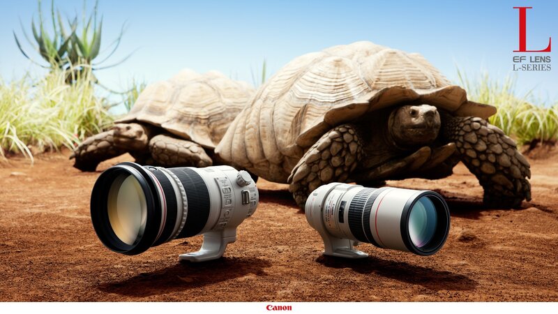 Canon L-Series lenses with tortoises