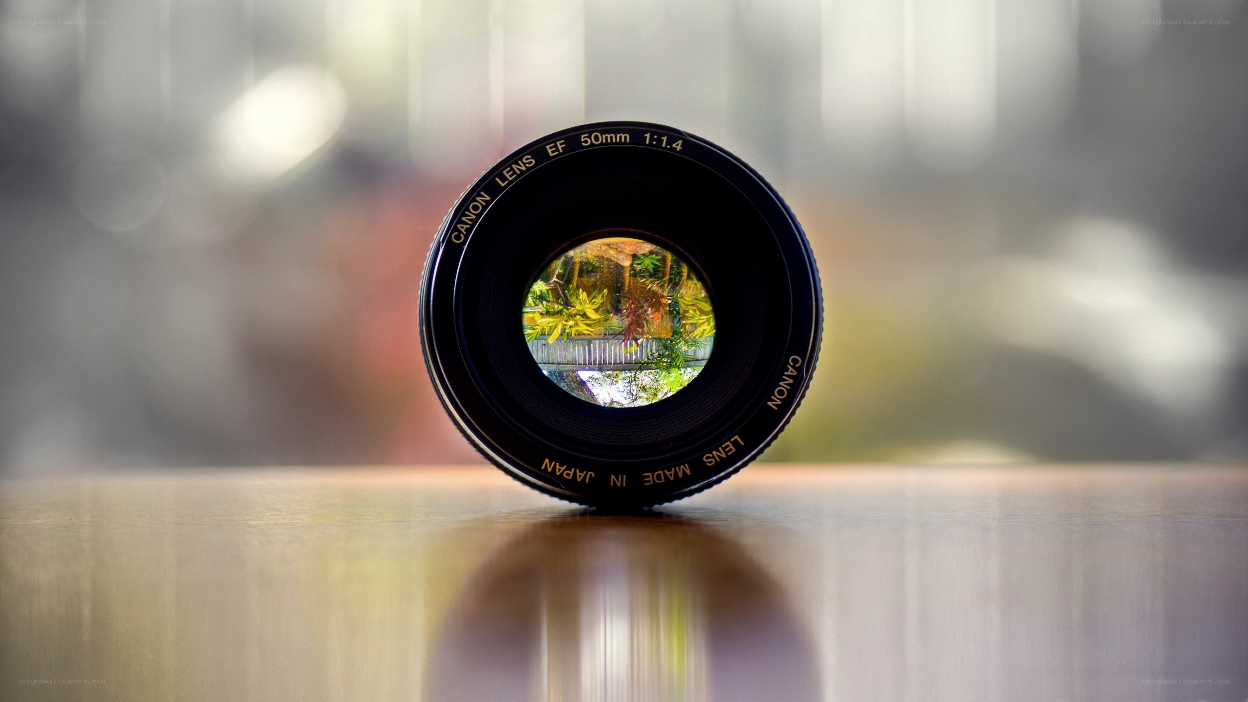 Canon lens reflecting garden scene