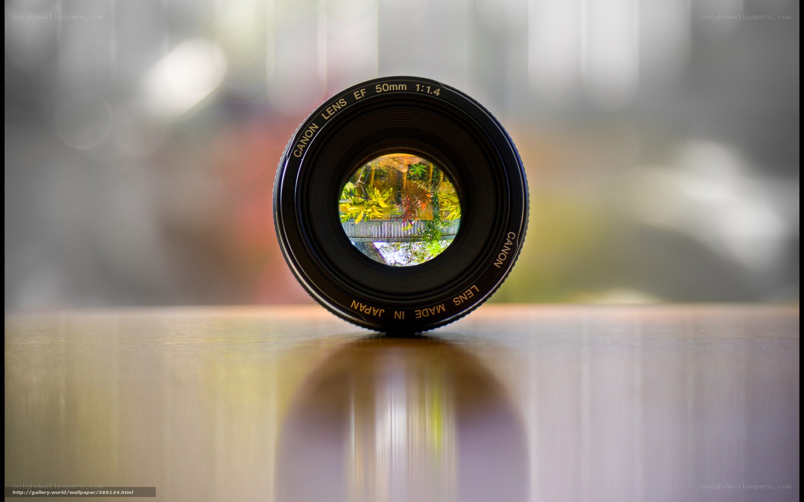 Canon lens reflecting garden scene