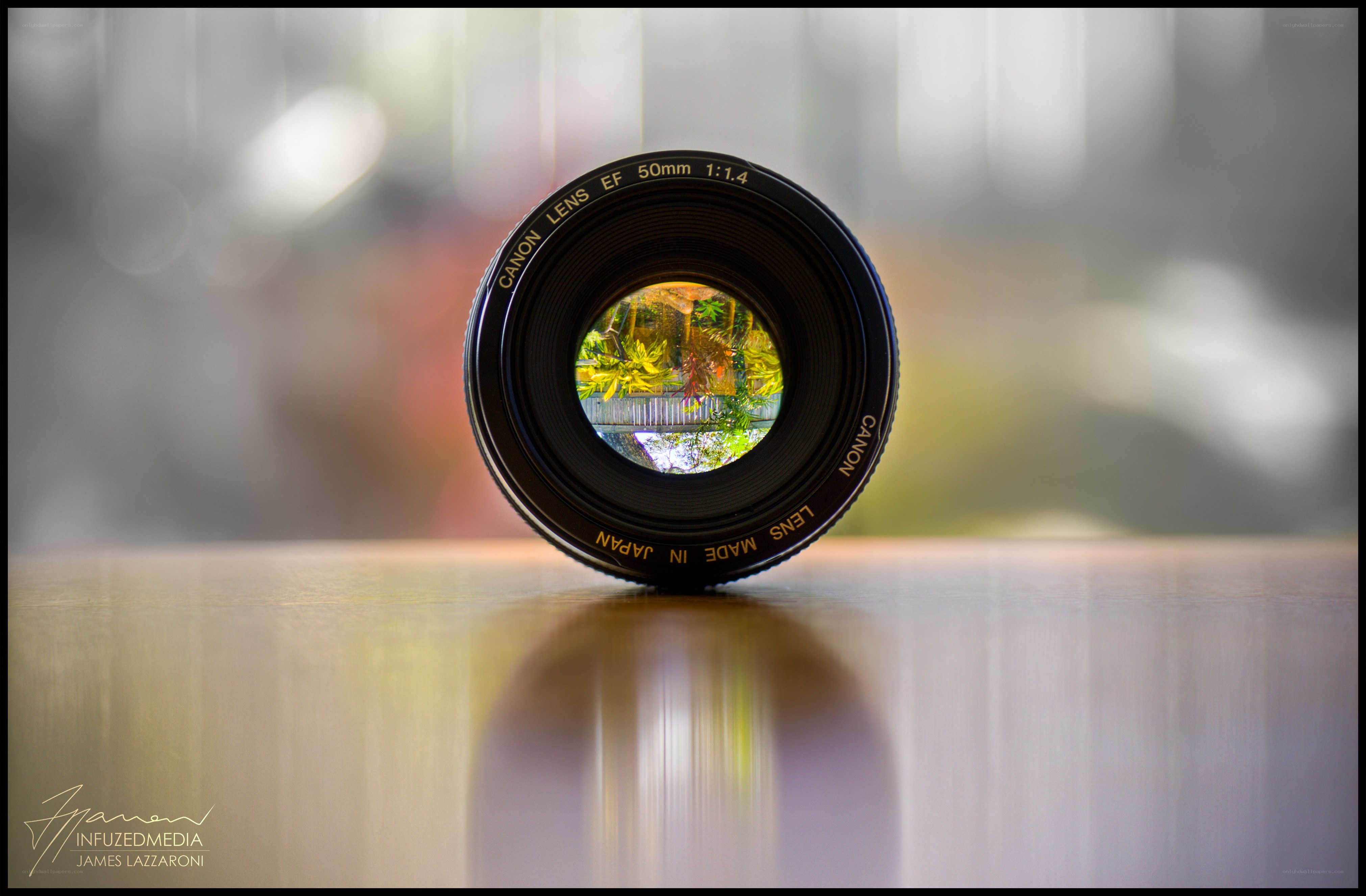 Canon lens reflecting nature