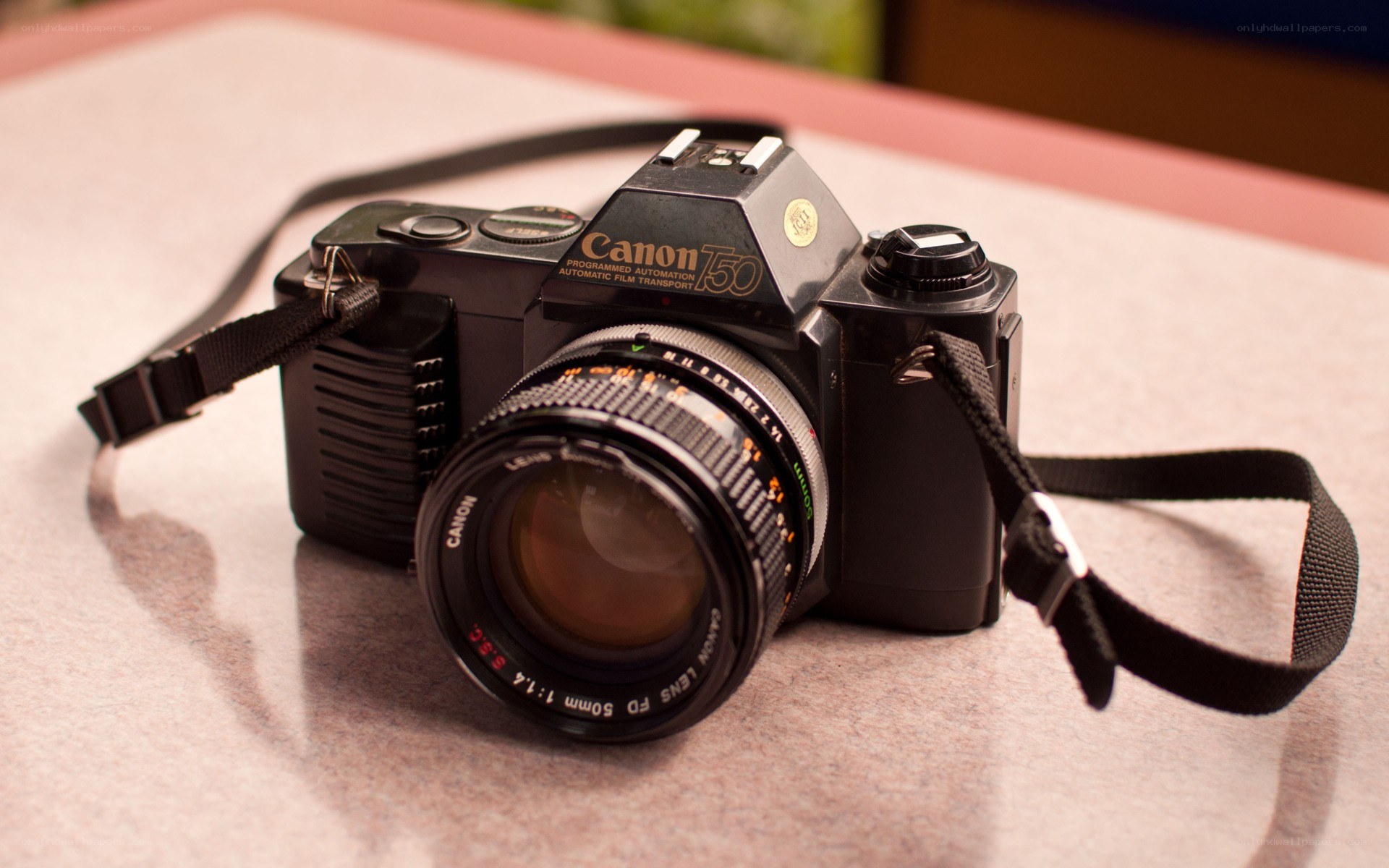 Canon T50 film camera