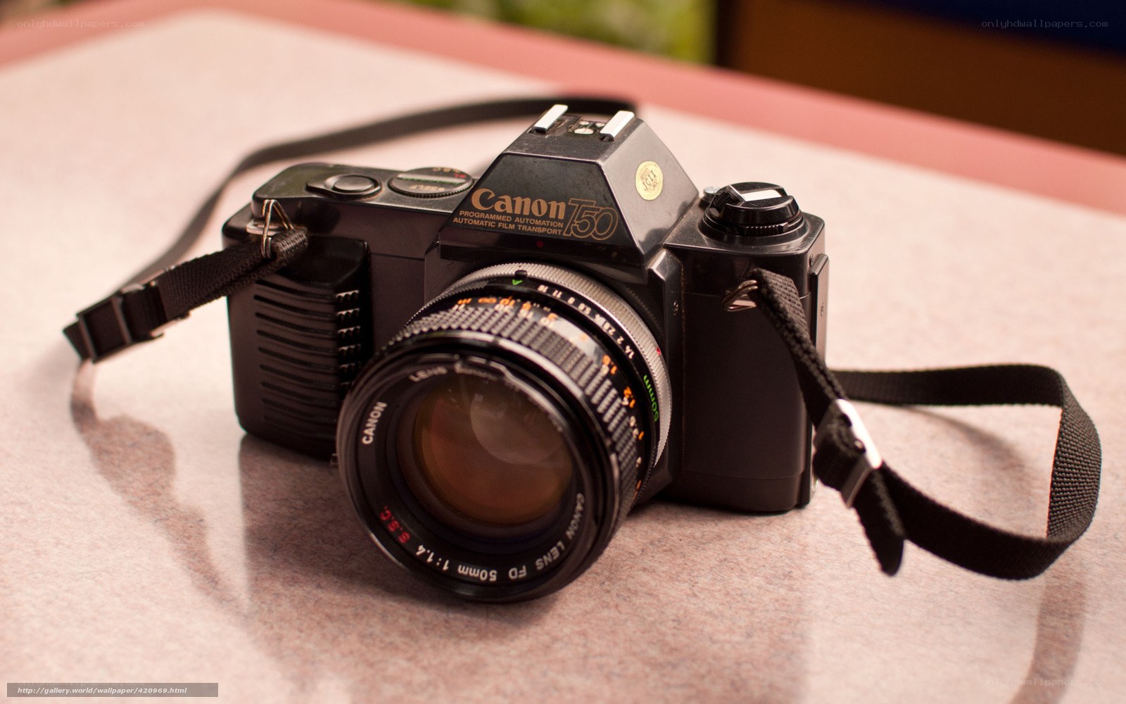 Canon T50 film camera