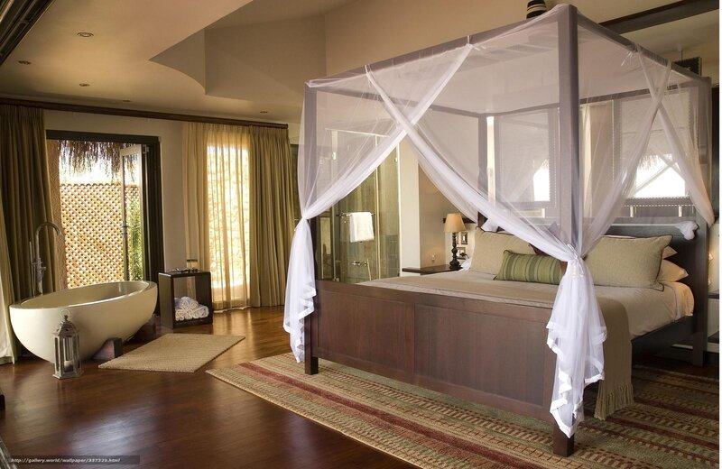 Canopy Bed in Bedroom — Brown