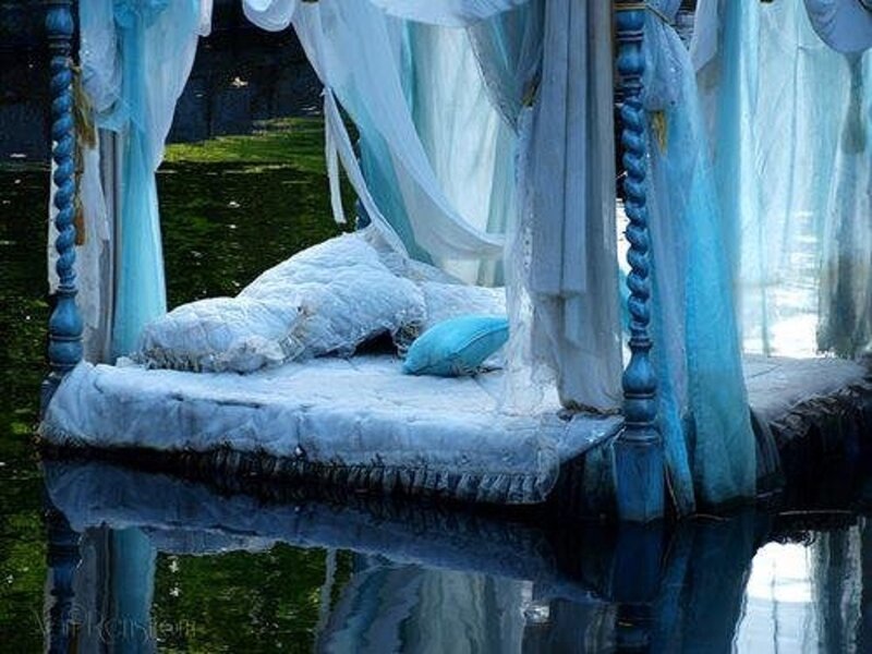 Canopy Bed on Water