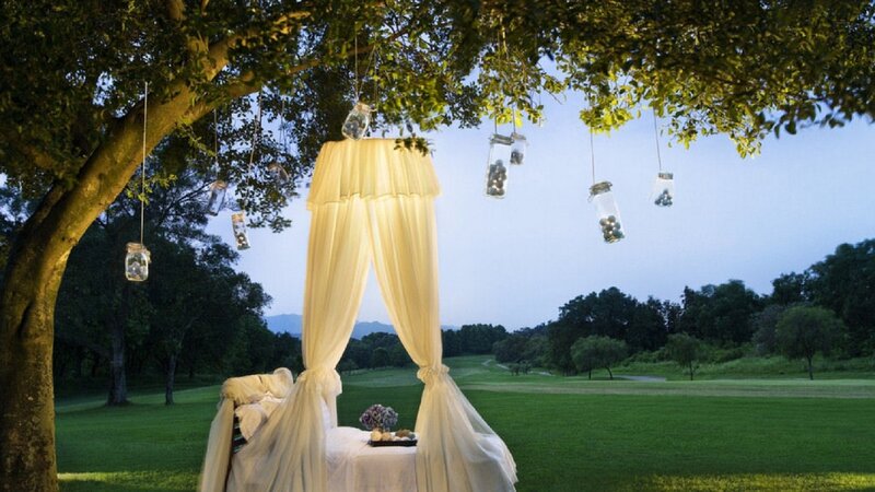Canopy Bed under Tree — Green