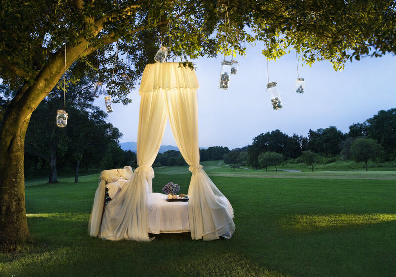 Canopy Bed under Tree