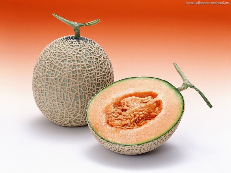 Cantaloupe melon fruit