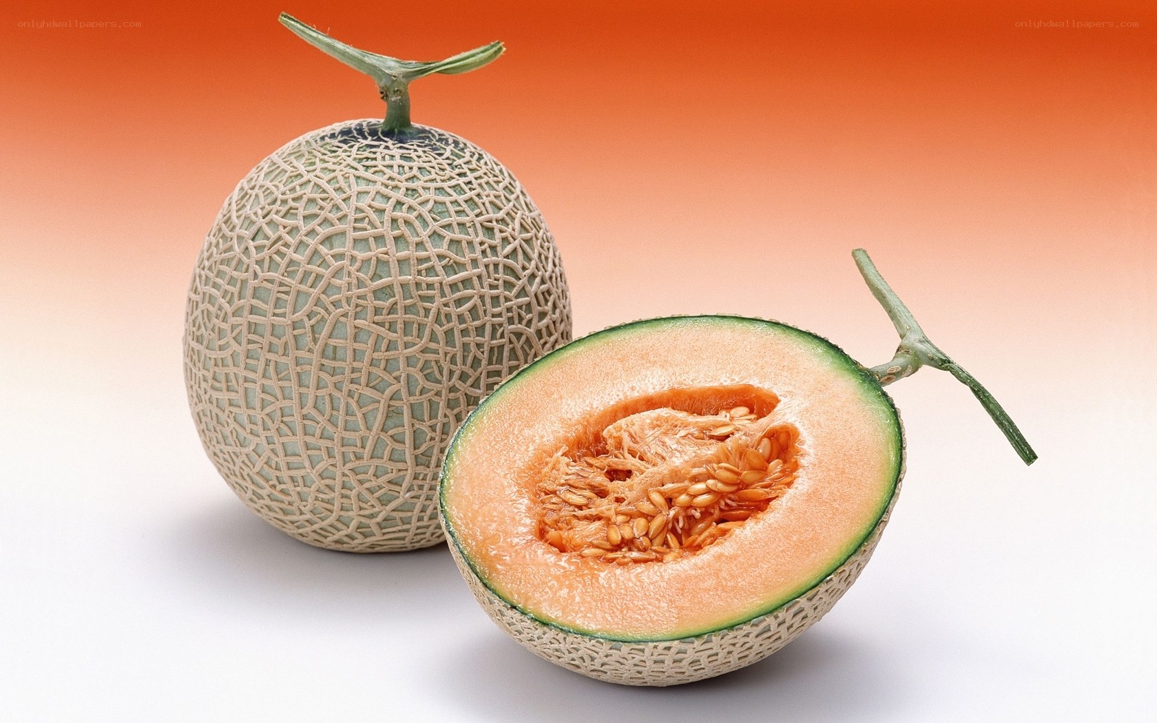 Cantaloupe melon fruit
