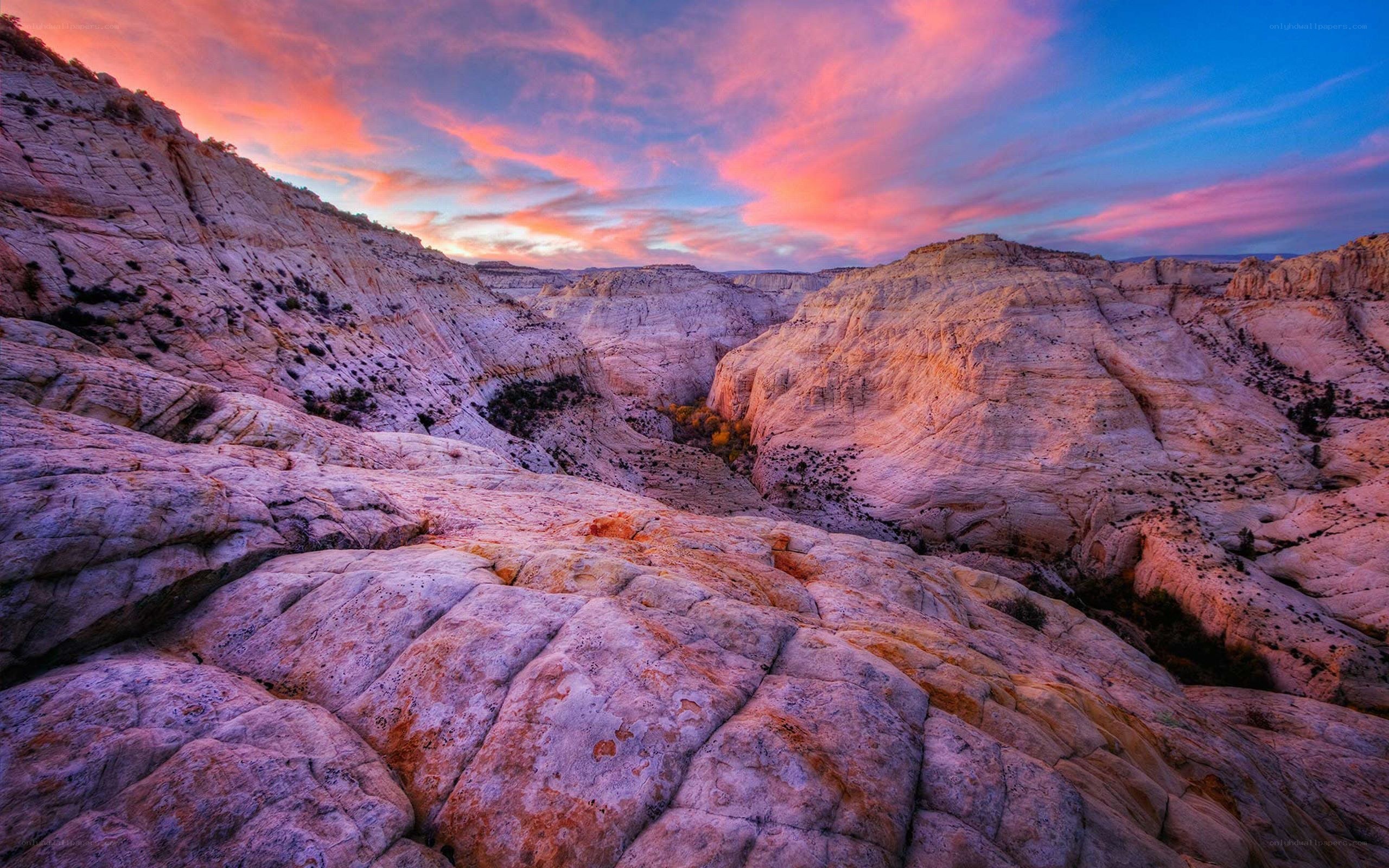 Canyon at sunset with pink sky