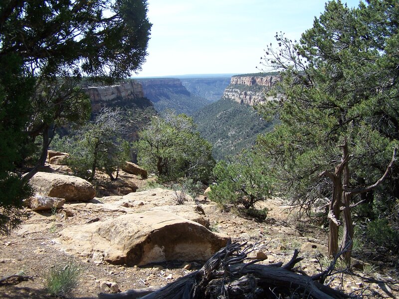 Canyon Landscape — Green