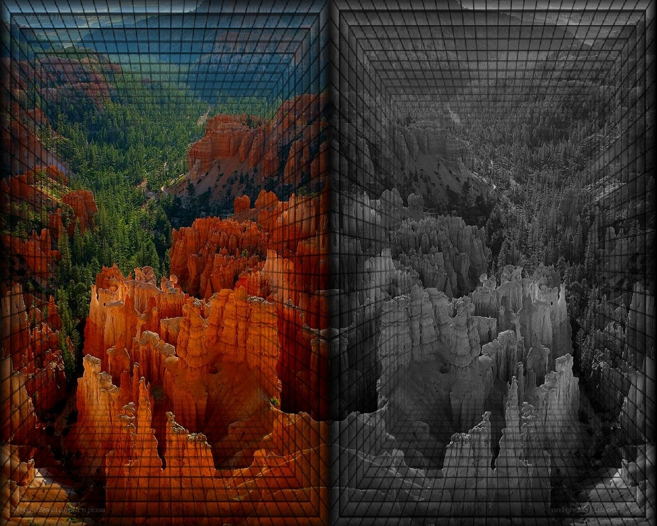 Canyon landscape split view