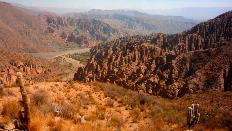 Canyon Landscape with Cacti