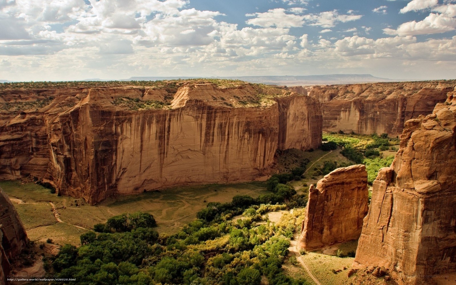 Canyon landscape with greenery