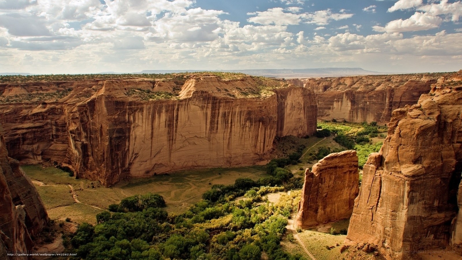 Canyon landscape with greenery