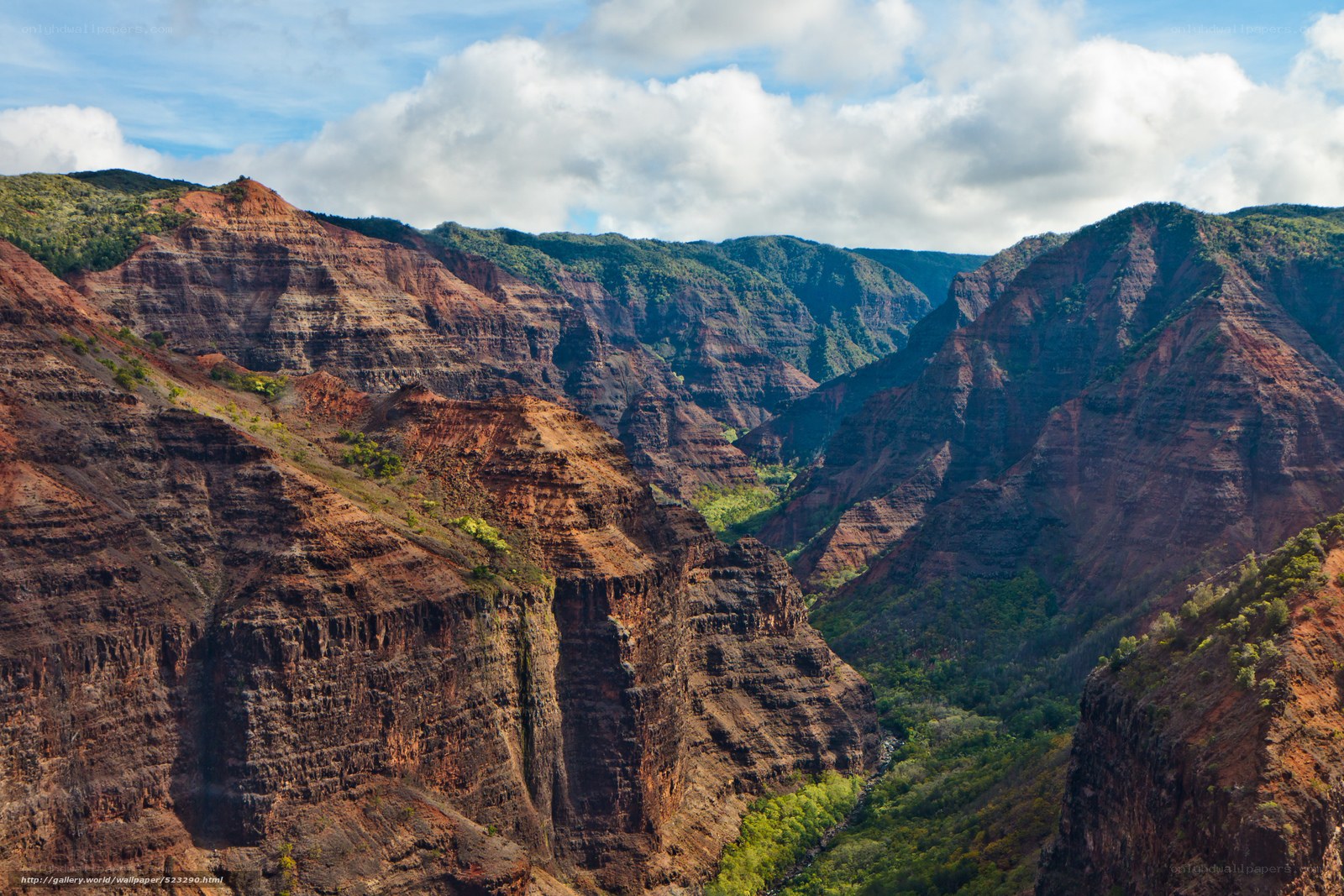 Canyon landscape with greenery