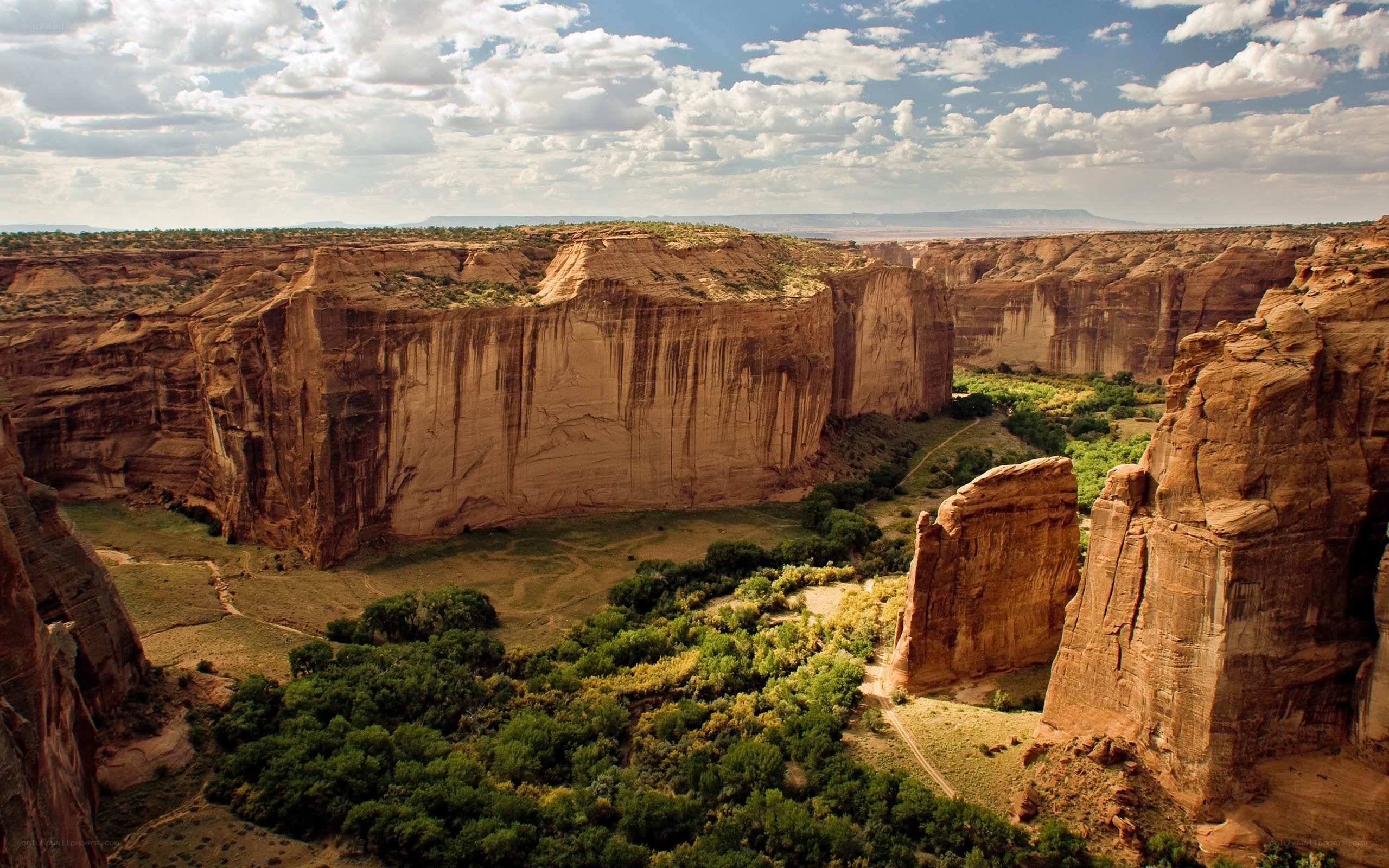 Canyon landscape with greenery
